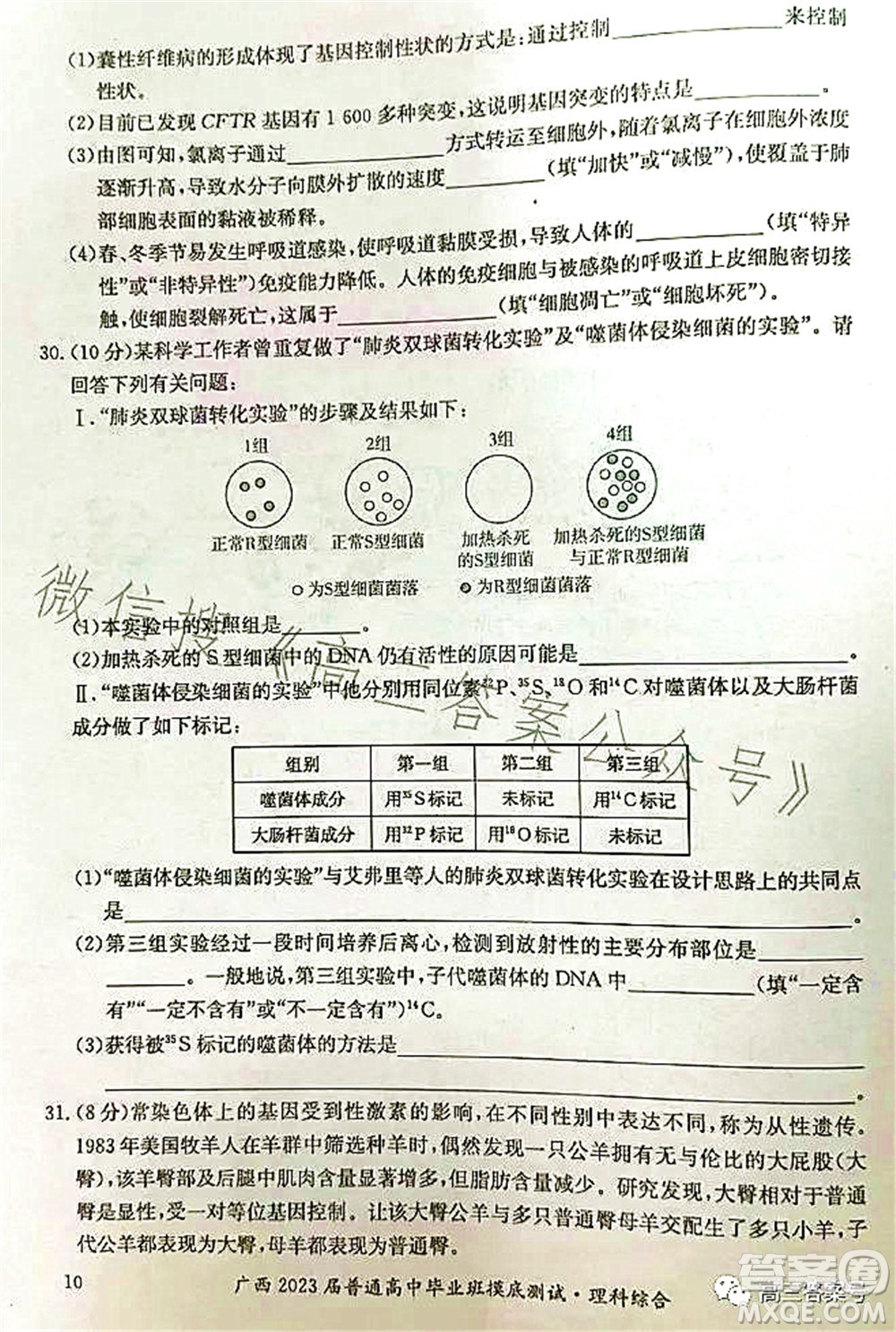 廣西2023屆普通高中畢業(yè)班摸底測試?yán)砜凭C合試題及答案