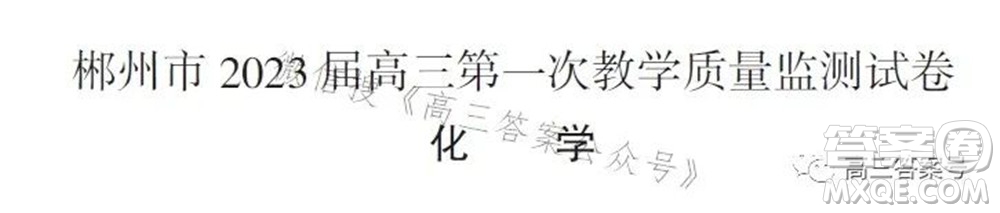 郴州市2023屆高三第一次教學(xué)質(zhì)量監(jiān)測(cè)試卷化學(xué)試題及答案