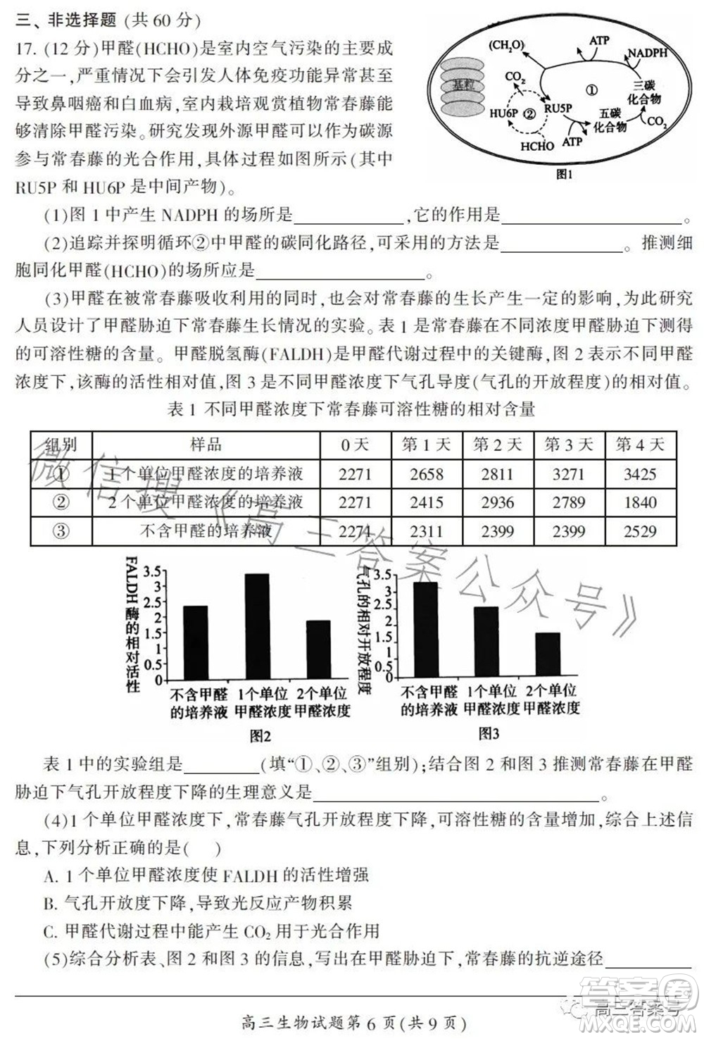 郴州市2023屆高三第一次教學質(zhì)量監(jiān)測試卷生物試題及答案