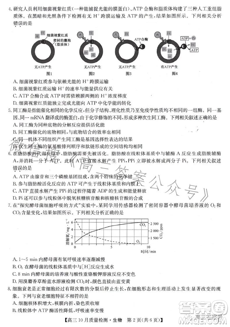 2023屆九師聯(lián)盟老高考高三10月質(zhì)量檢測生物試題及答案