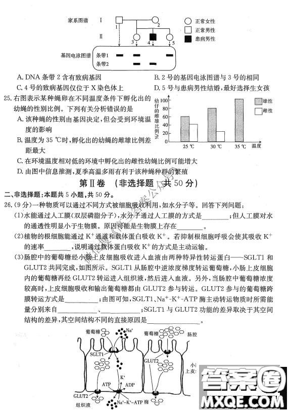 金太陽(yáng)10月聯(lián)考2022-2023年度高三年級(jí)階段性考試生物試卷答案