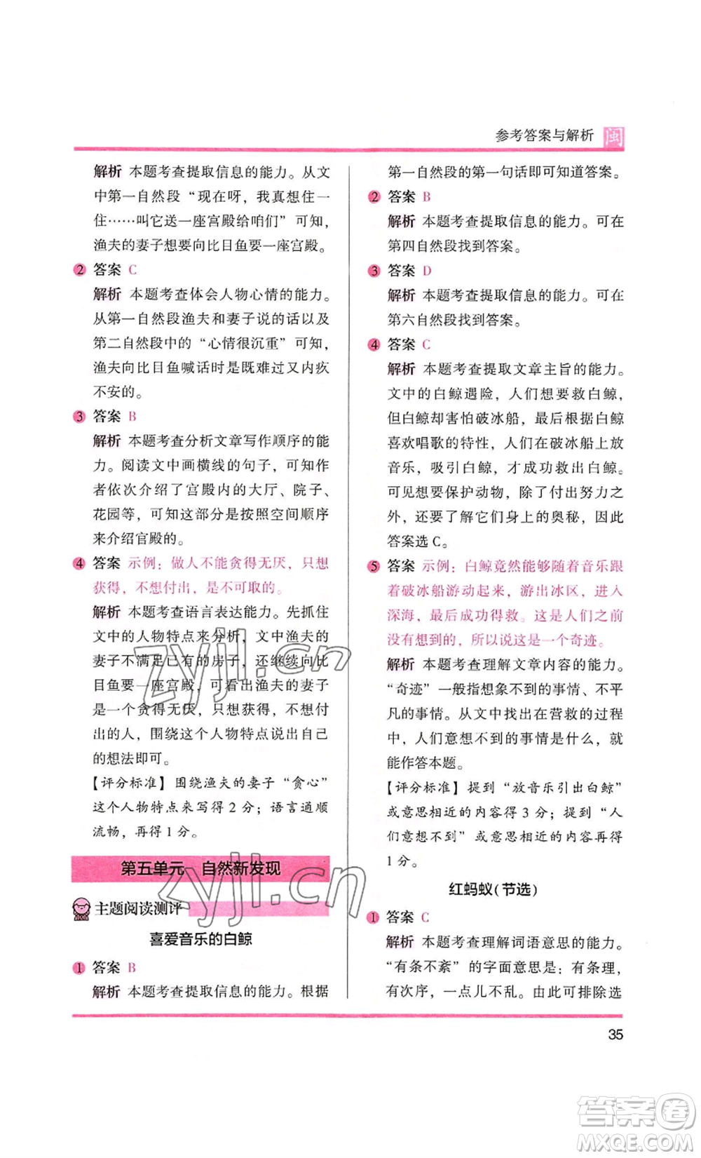 鷺江出版社2022木頭馬閱讀力測評三年級語文人教版A版福建專版參考答案