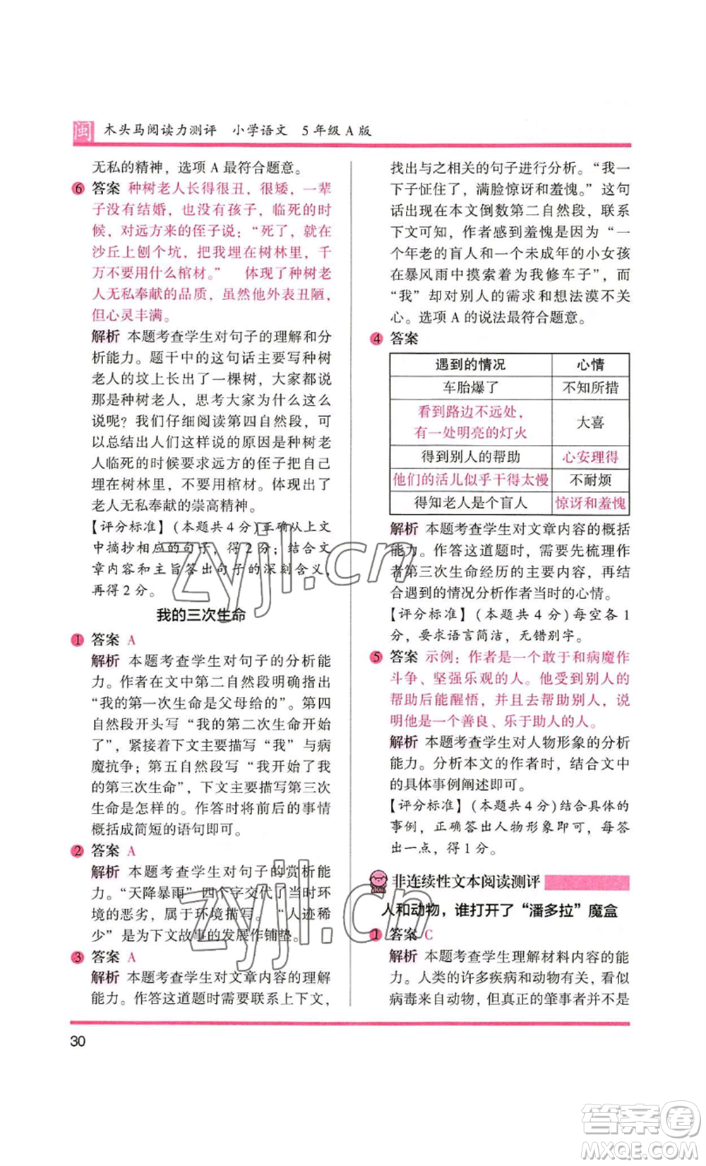 鷺江出版社2022木頭馬閱讀力測評五年級語文人教版A版福建專版參考答案