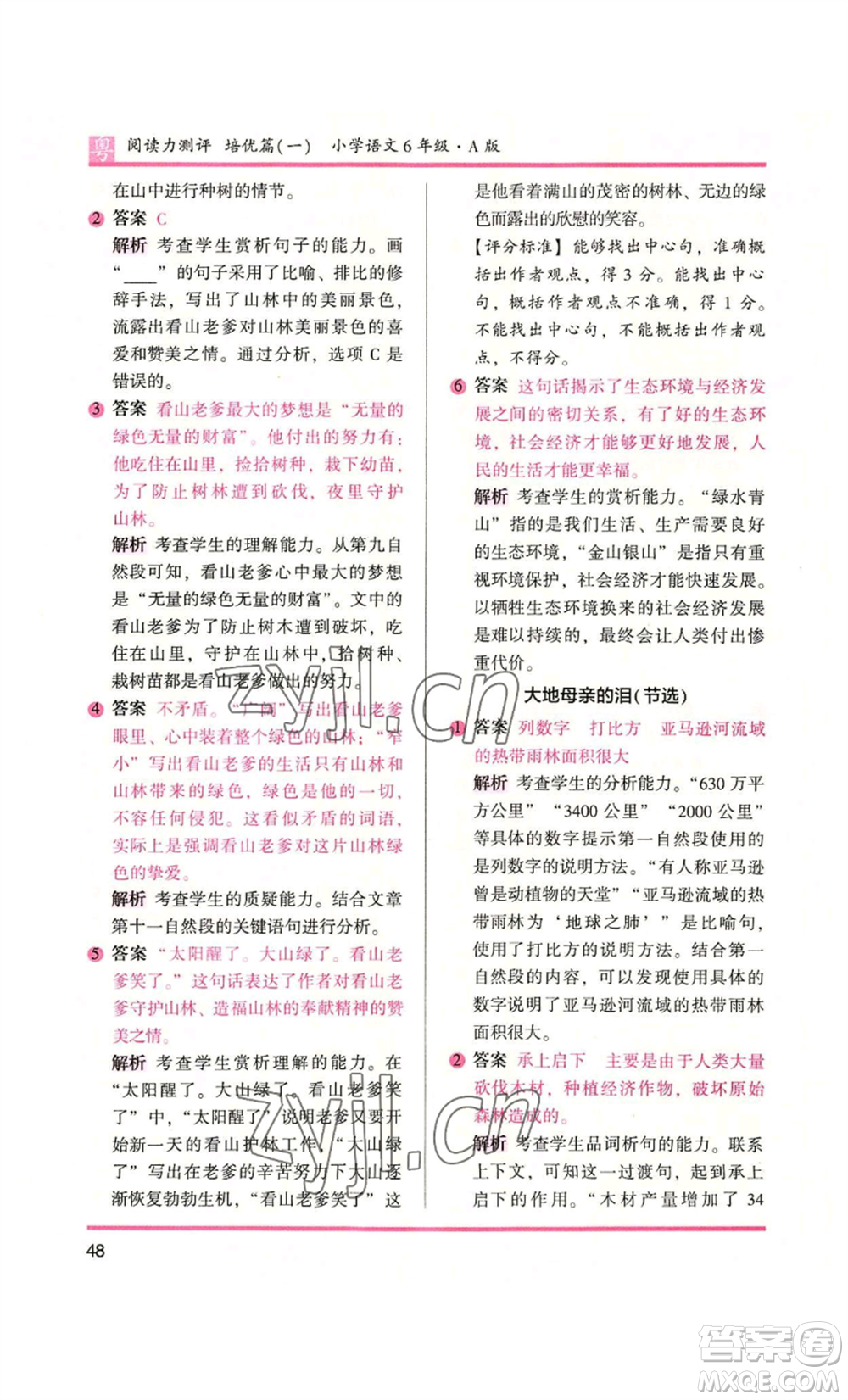 江蘇鳳凰文藝出版社2022木頭馬閱讀力測(cè)評(píng)六年級(jí)語文人教版A本廣東專版參考答案