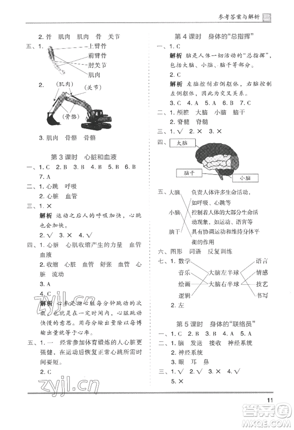 湖南師范大學(xué)出版社2022木頭馬分層課課練五年級(jí)上冊科學(xué)教科版參考答案