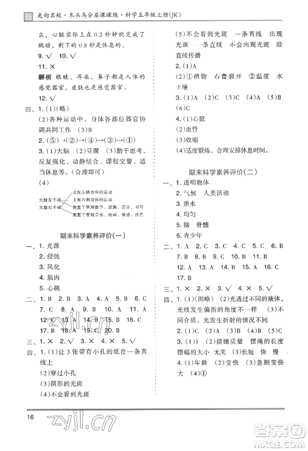 湖南師范大學(xué)出版社2022木頭馬分層課課練五年級(jí)上冊科學(xué)教科版參考答案