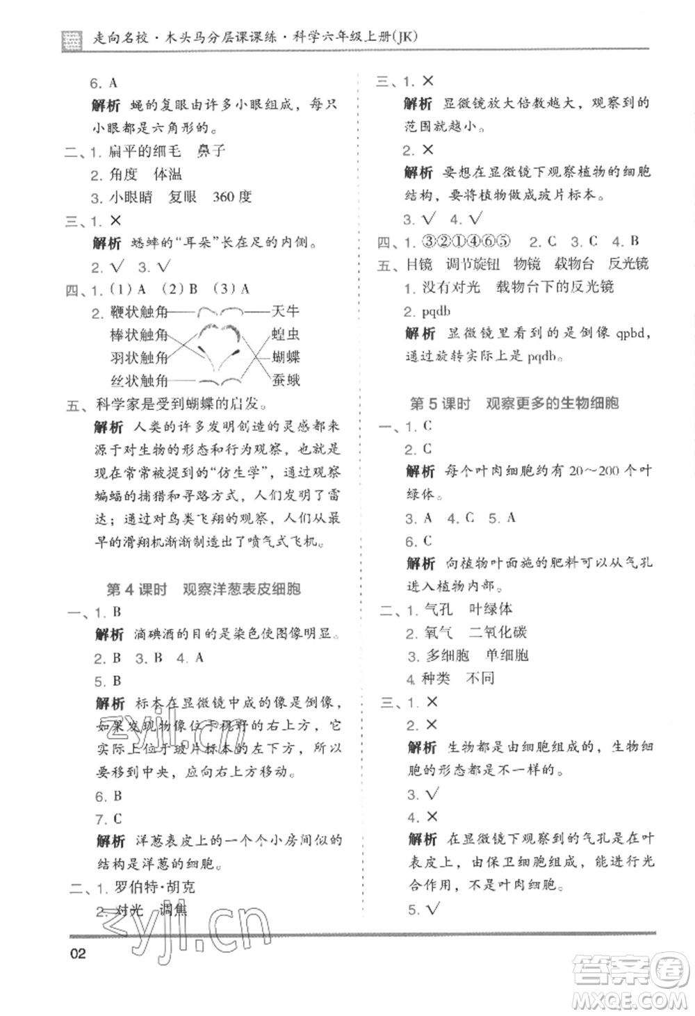 湖南師范大學出版社2022木頭馬分層課課練六年級上冊科學教科版參考答案