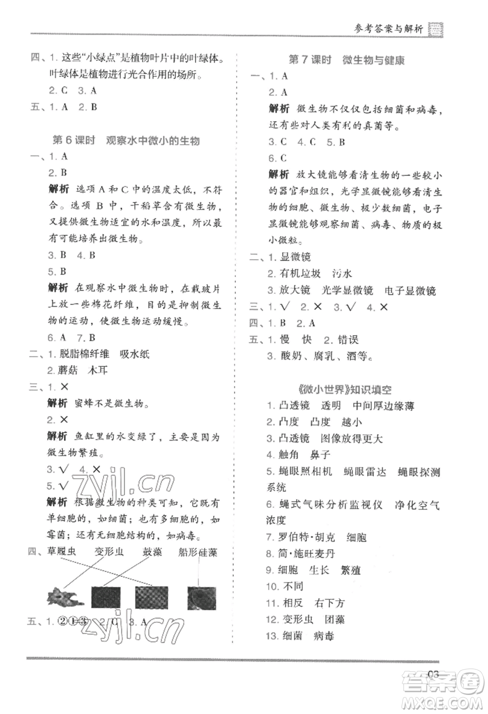 湖南師范大學出版社2022木頭馬分層課課練六年級上冊科學教科版參考答案