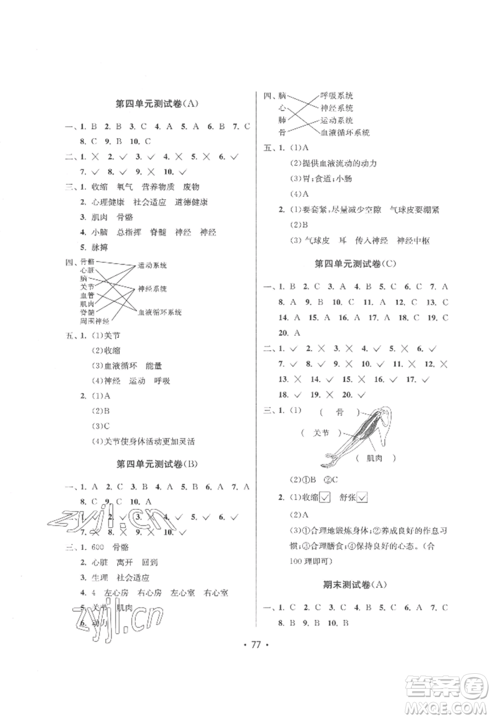 延邊教育出版社2022智慧課堂課時(shí)檢測(cè)五年級(jí)上冊(cè)科學(xué)教科版參考答案