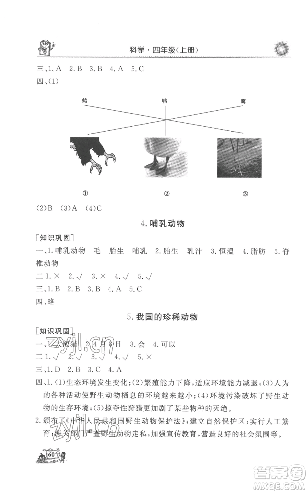 山東美術出版社2022名師導學伴你行同步練習四年級上冊科學通用版參考答案