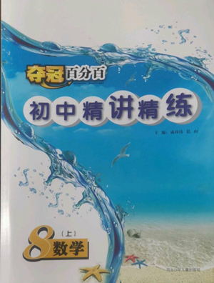 河北少年兒童出版社2022奪冠百分百初中精講精練八年級上冊數(shù)學(xué)人教版參考答案