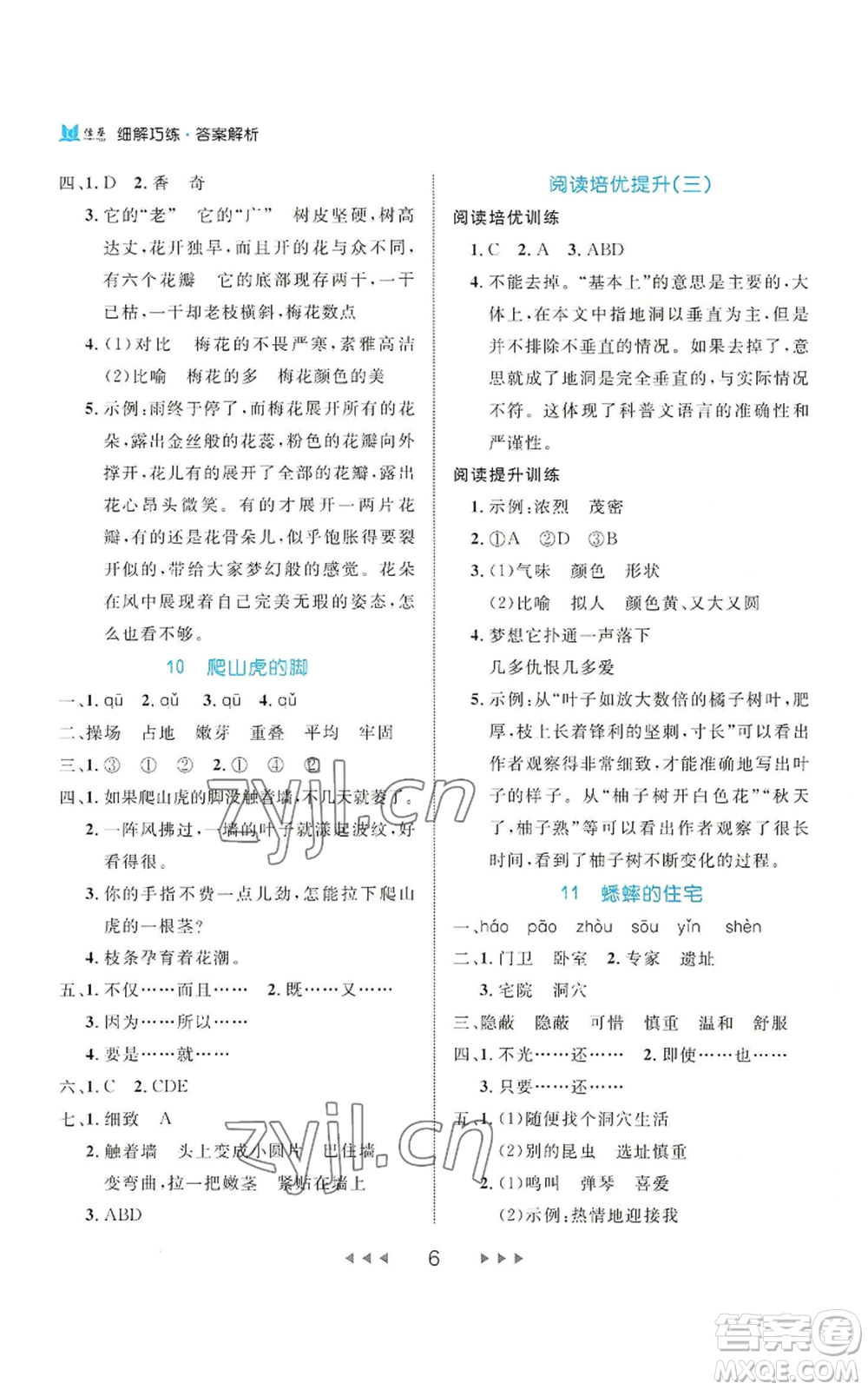 延邊大學(xué)出版社2022細解巧練四年級上冊語文部編版參考答案