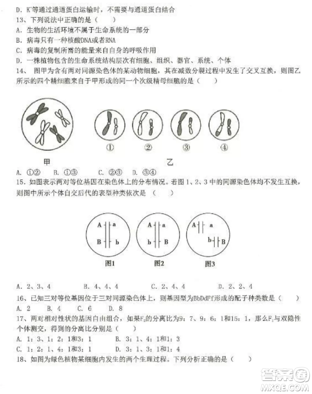 2022-2023齊齊哈爾市八校聯(lián)合體高三上學(xué)期生物期中試卷答案