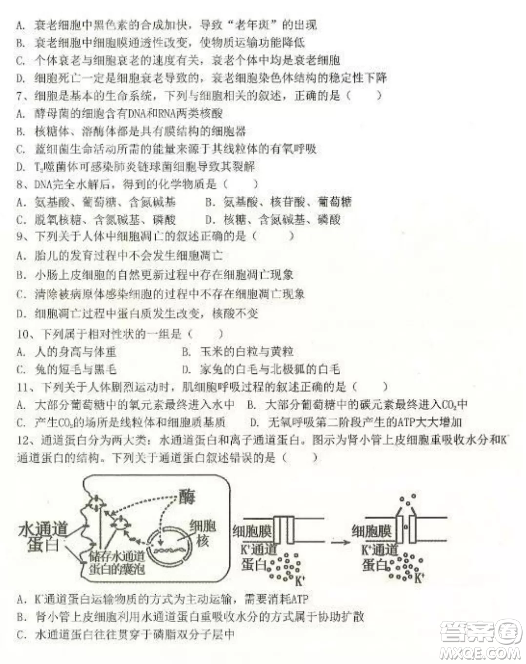 2022-2023齊齊哈爾市八校聯(lián)合體高三上學(xué)期生物期中試卷答案