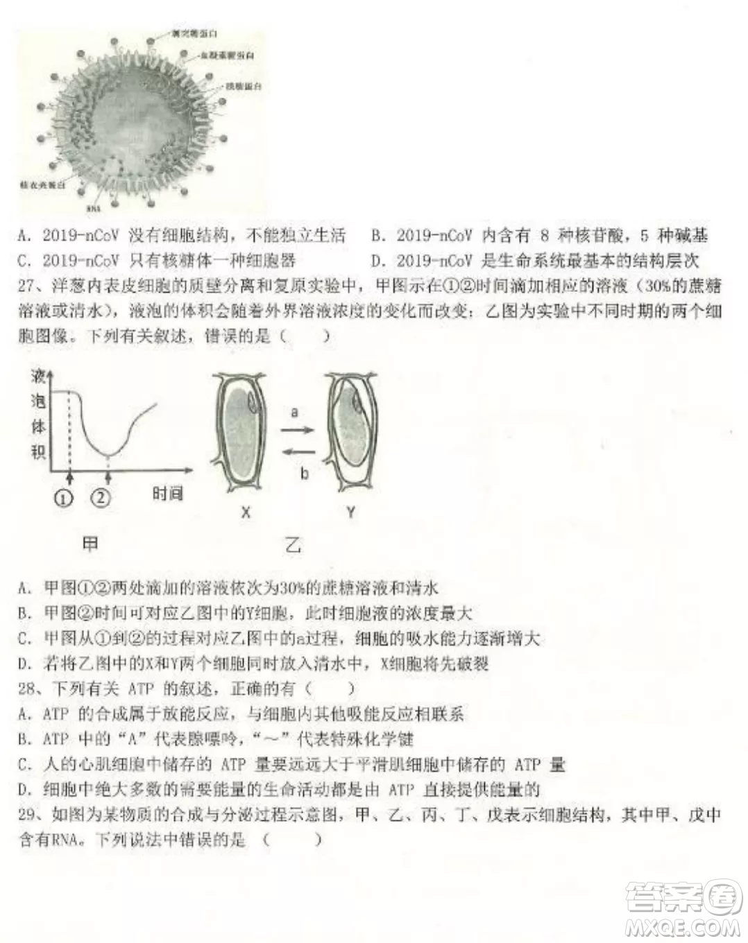 2022-2023齊齊哈爾市八校聯(lián)合體高三上學(xué)期生物期中試卷答案