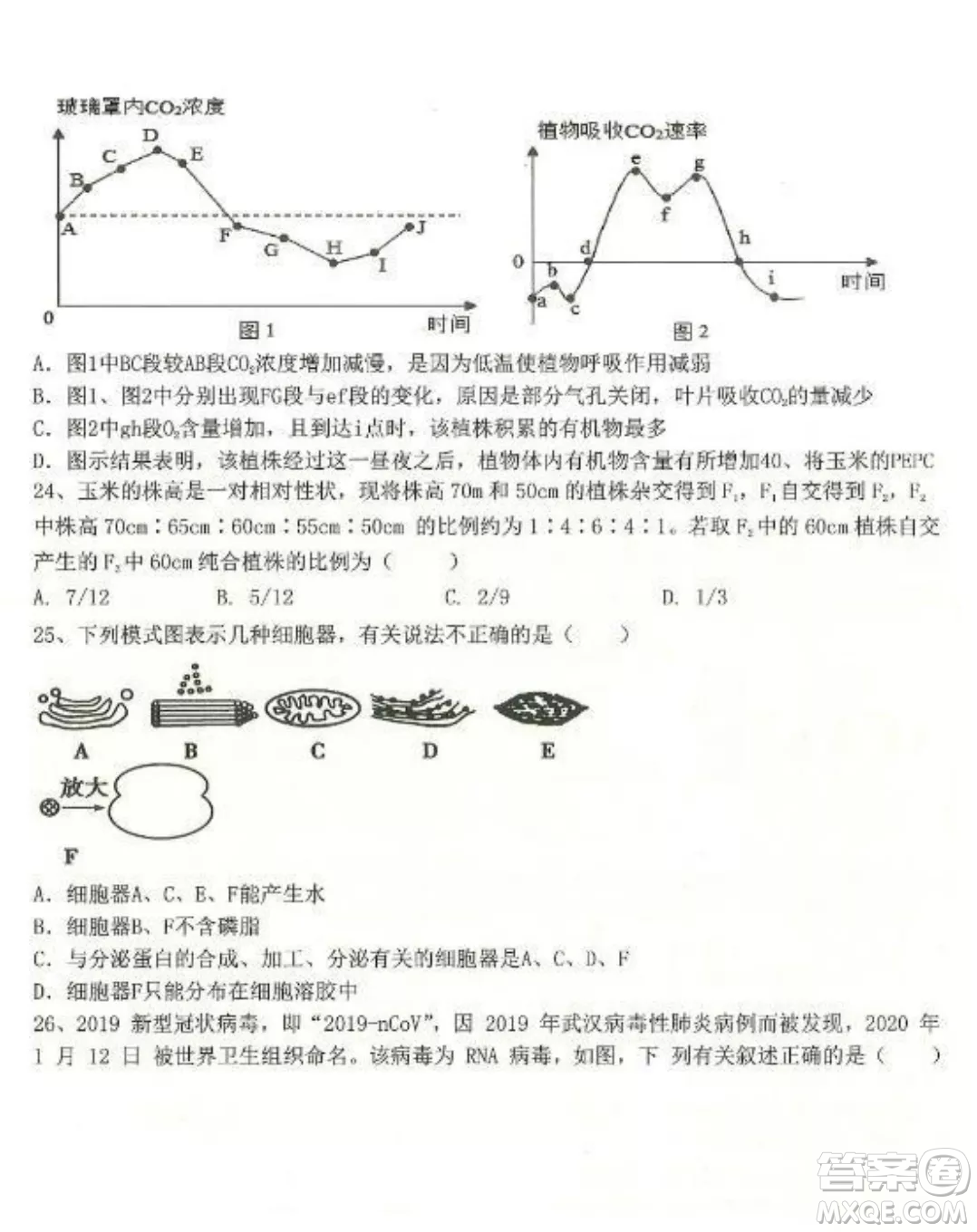 2022-2023齊齊哈爾市八校聯(lián)合體高三上學(xué)期生物期中試卷答案