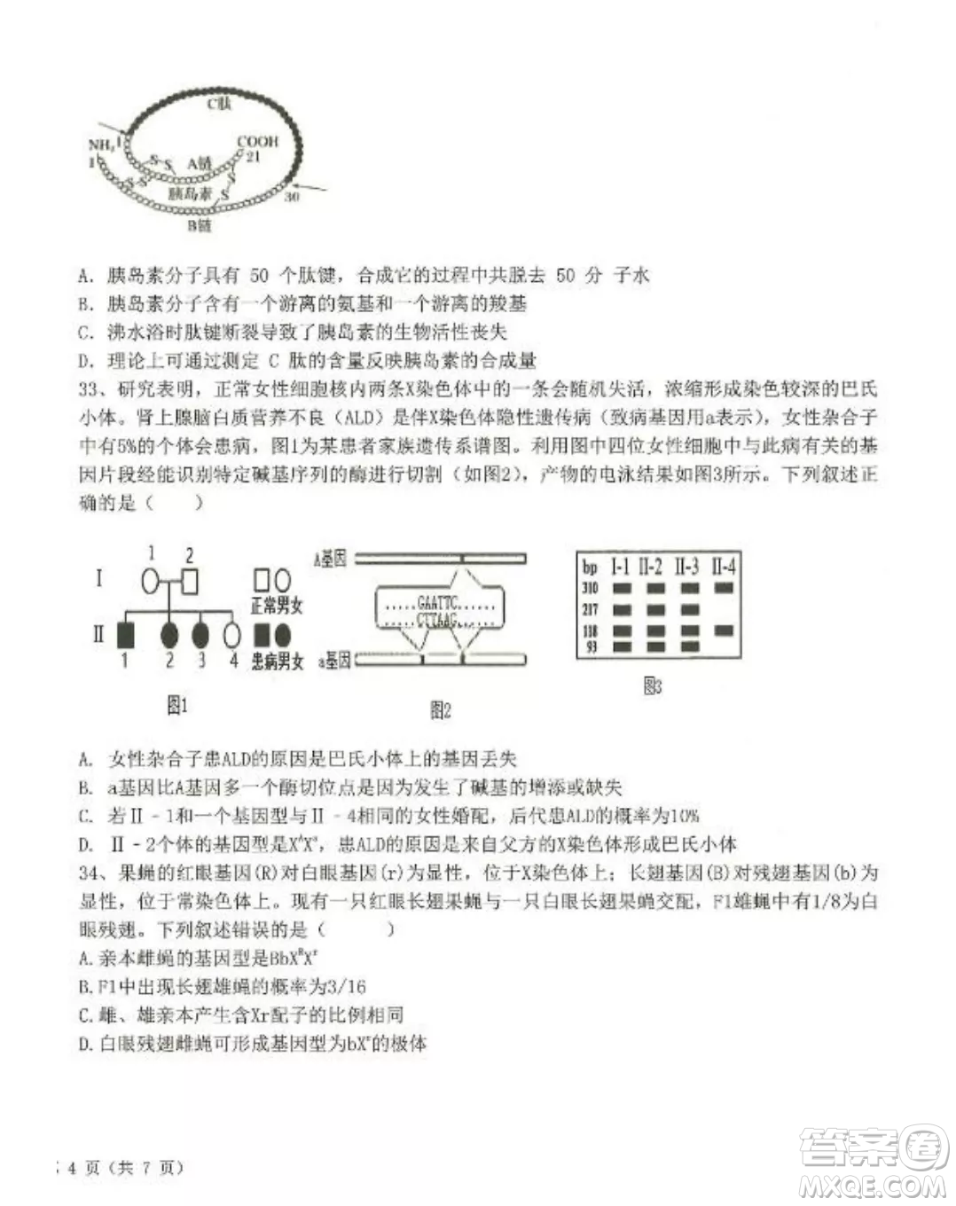 2022-2023齊齊哈爾市八校聯(lián)合體高三上學(xué)期生物期中試卷答案