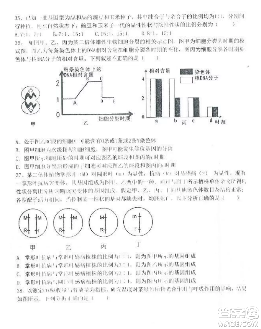 2022-2023齊齊哈爾市八校聯(lián)合體高三上學(xué)期生物期中試卷答案