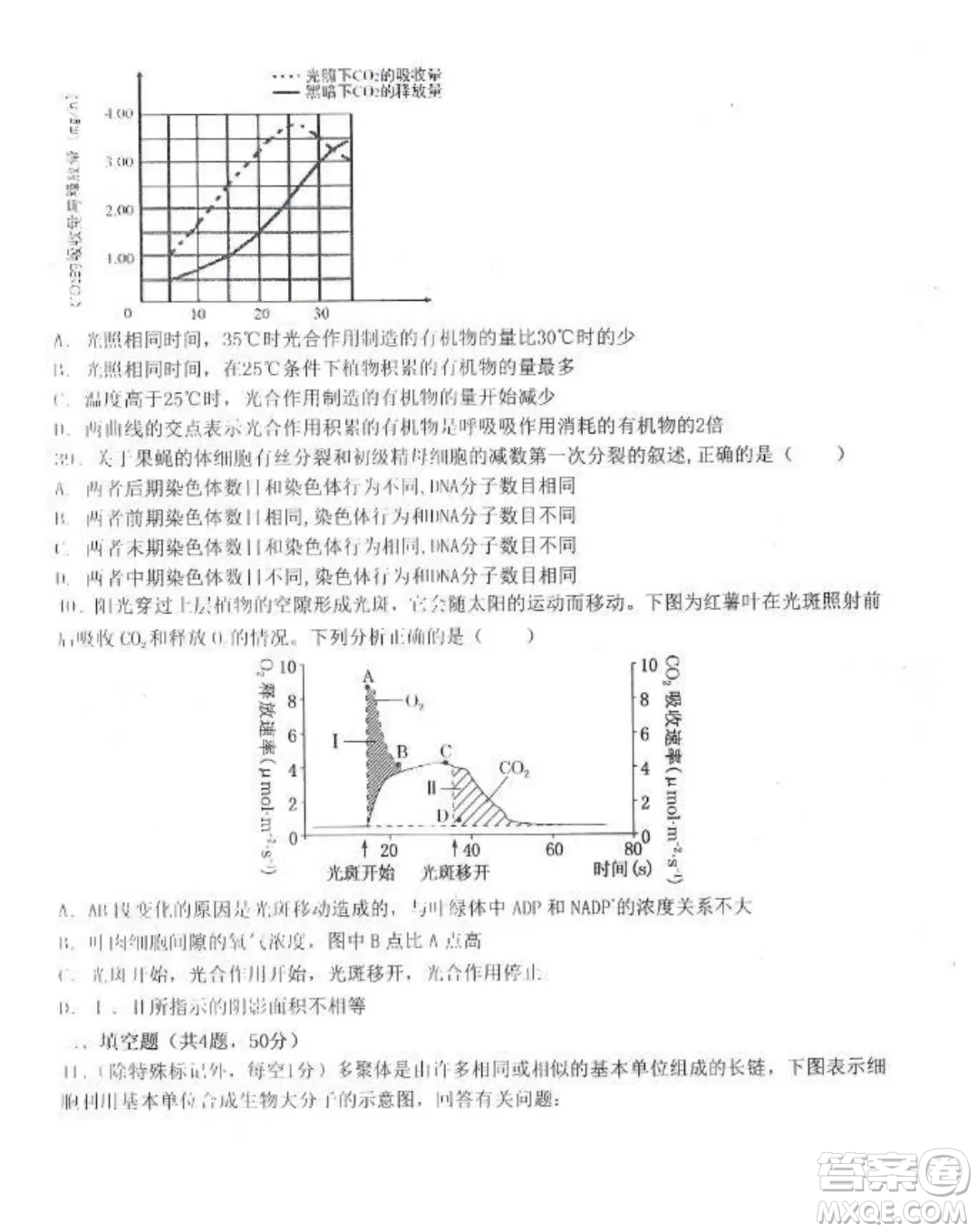 2022-2023齊齊哈爾市八校聯(lián)合體高三上學(xué)期生物期中試卷答案