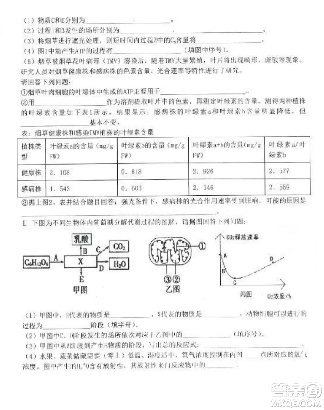 2022-2023齊齊哈爾市八校聯(lián)合體高三上學(xué)期生物期中試卷答案