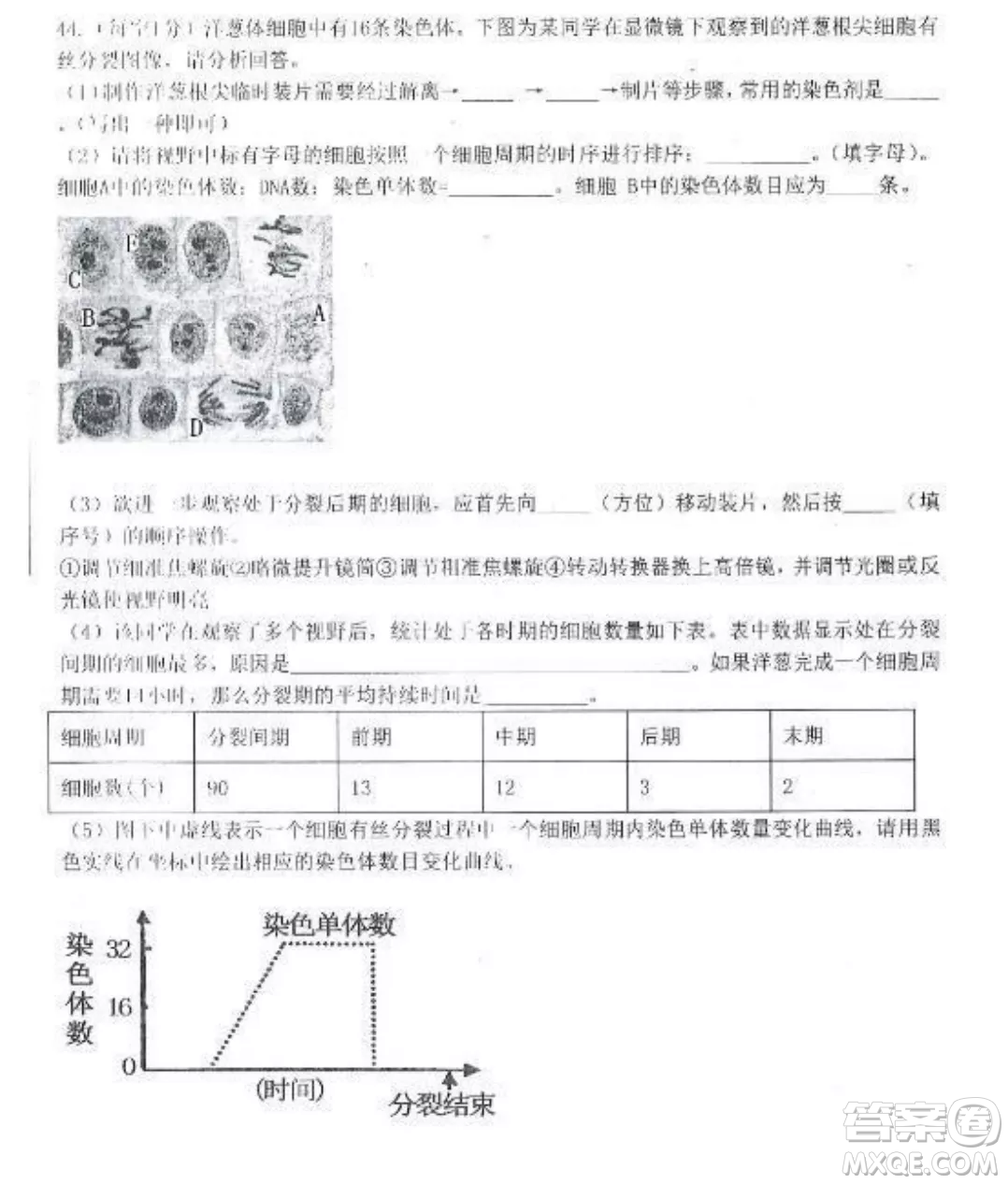 2022-2023齊齊哈爾市八校聯(lián)合體高三上學(xué)期生物期中試卷答案