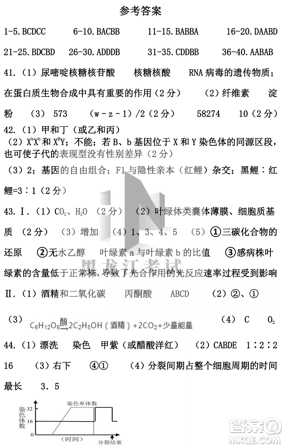 2022-2023齊齊哈爾市八校聯(lián)合體高三上學(xué)期生物期中試卷答案