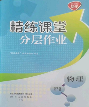 山東友誼出版社2022精練課堂分層作業(yè)九年級物理人教版參考答案