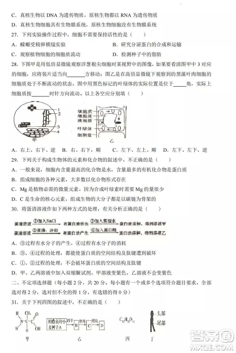 2022-2023齊齊哈爾市八校聯(lián)合體高一上學(xué)期生物期中試卷答案