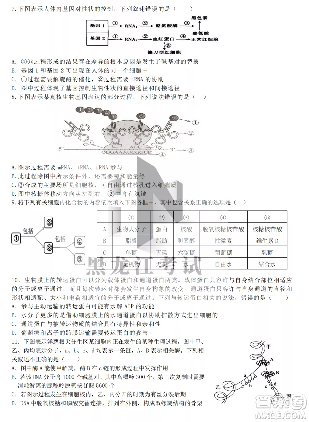 齊齊哈爾市實(shí)驗(yàn)中學(xué)2022-2023學(xué)年度第一學(xué)期高二期中考試生物試題及答案