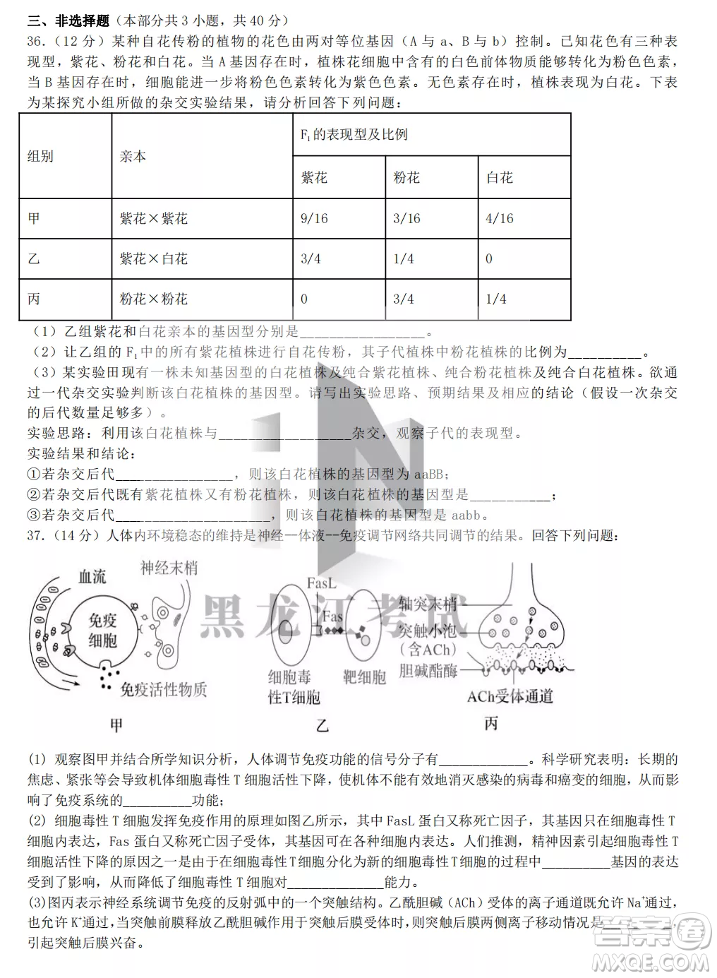 齊齊哈爾市實(shí)驗(yàn)中學(xué)2022-2023學(xué)年度第一學(xué)期高二期中考試生物試題及答案