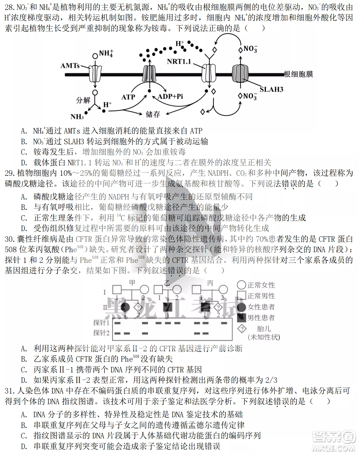 大慶鐵人中學2020級高三上學期月考生物試題試卷答案