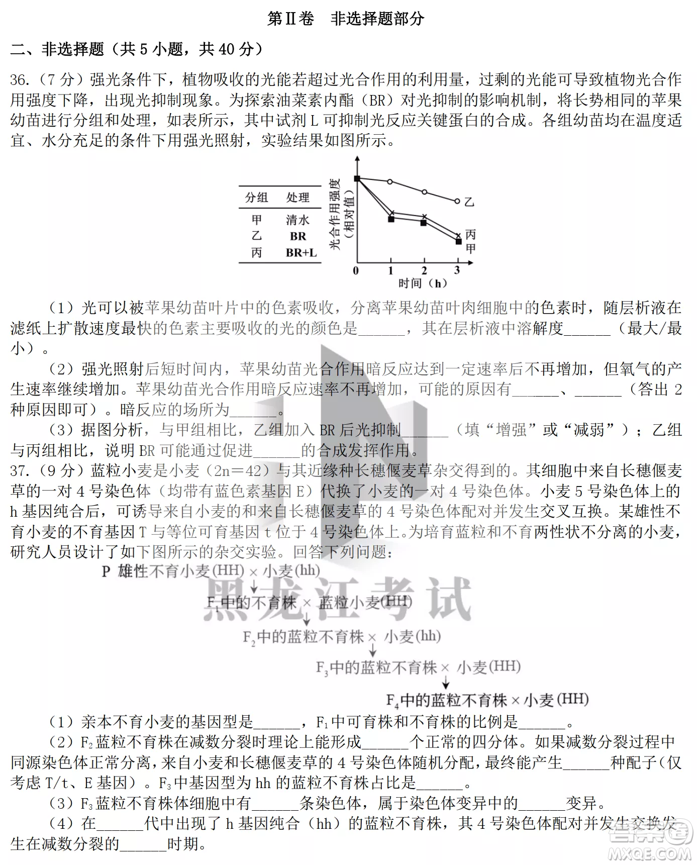 大慶鐵人中學2020級高三上學期月考生物試題試卷答案