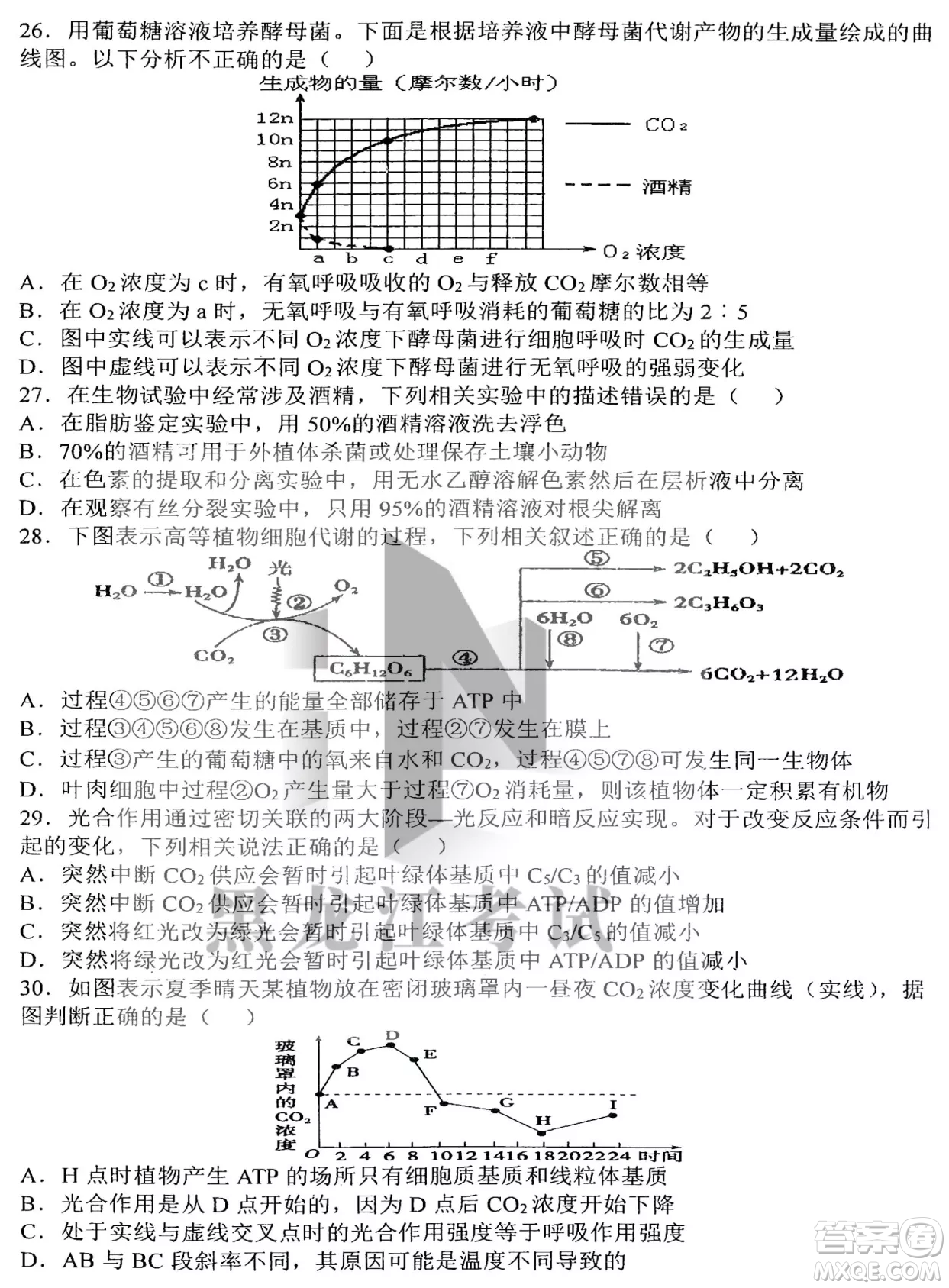 哈三中2022-2023學(xué)年度上學(xué)期高三學(xué)年第二次驗(yàn)收考試生物試卷答案