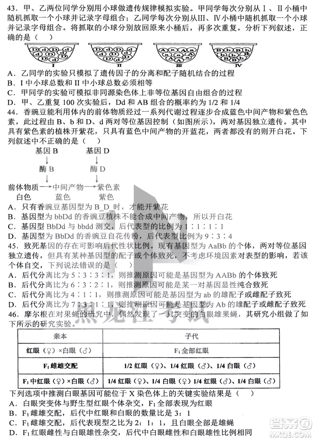 哈三中2022-2023學(xué)年度上學(xué)期高三學(xué)年第二次驗(yàn)收考試生物試卷答案