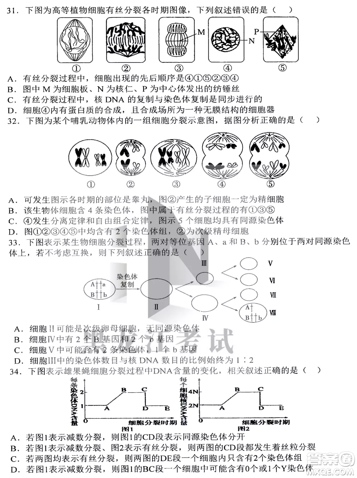 哈三中2022-2023學(xué)年度上學(xué)期高三學(xué)年第二次驗(yàn)收考試生物試卷答案