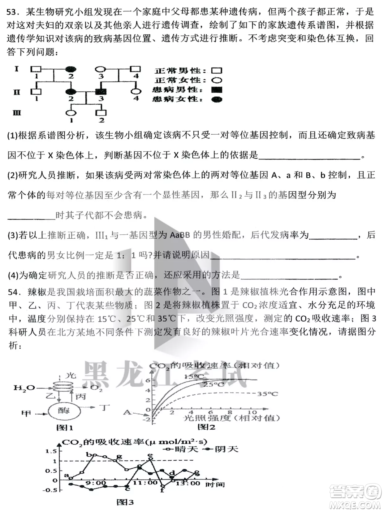 哈三中2022-2023學(xué)年度上學(xué)期高三學(xué)年第二次驗(yàn)收考試生物試卷答案