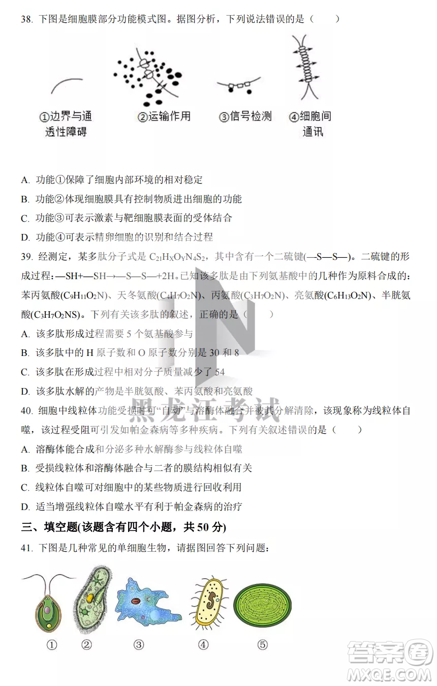 大慶實驗中學(xué)2022-2023學(xué)年度上學(xué)期月考高一生物試卷答案