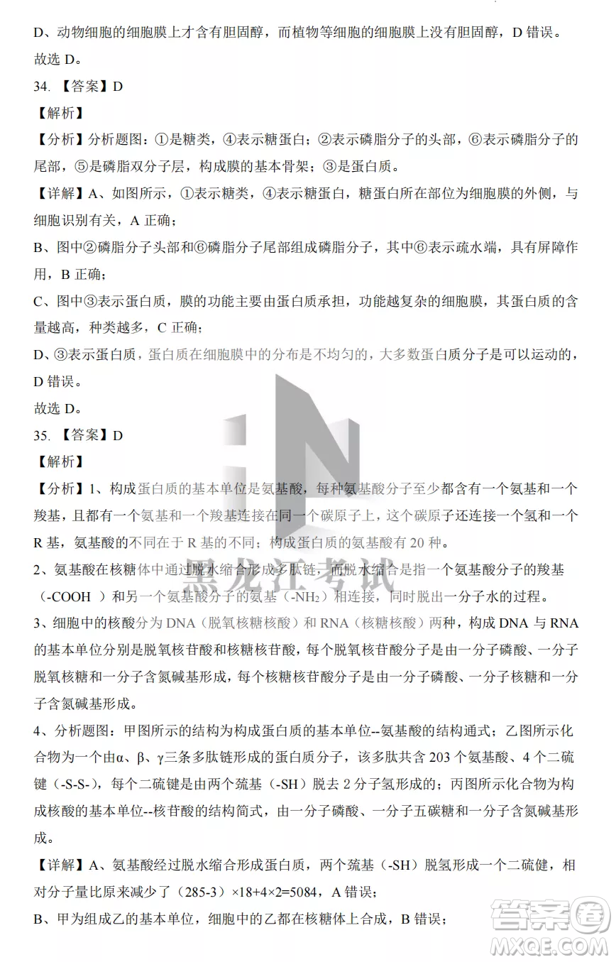 大慶實驗中學(xué)2022-2023學(xué)年度上學(xué)期月考高一生物試卷答案