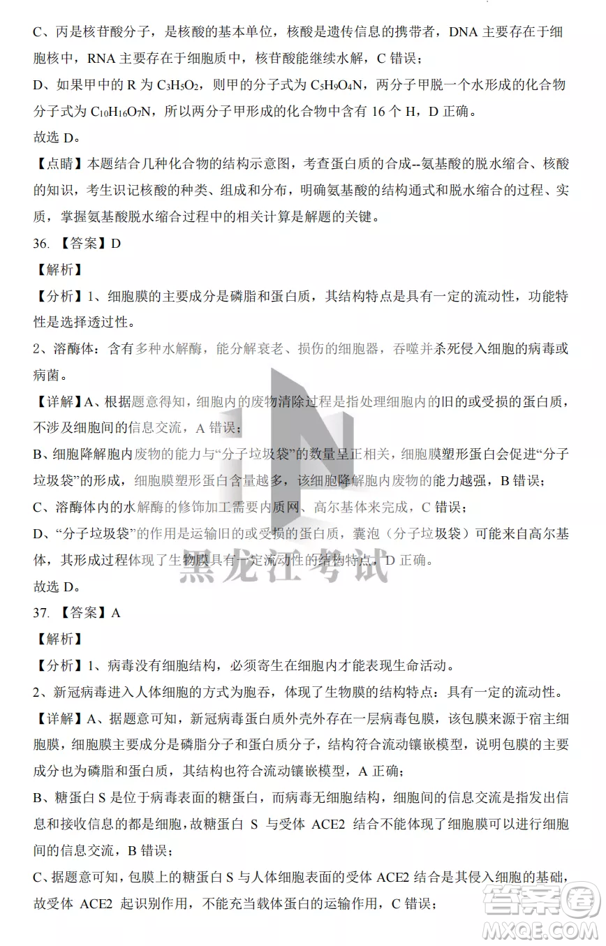 大慶實驗中學(xué)2022-2023學(xué)年度上學(xué)期月考高一生物試卷答案