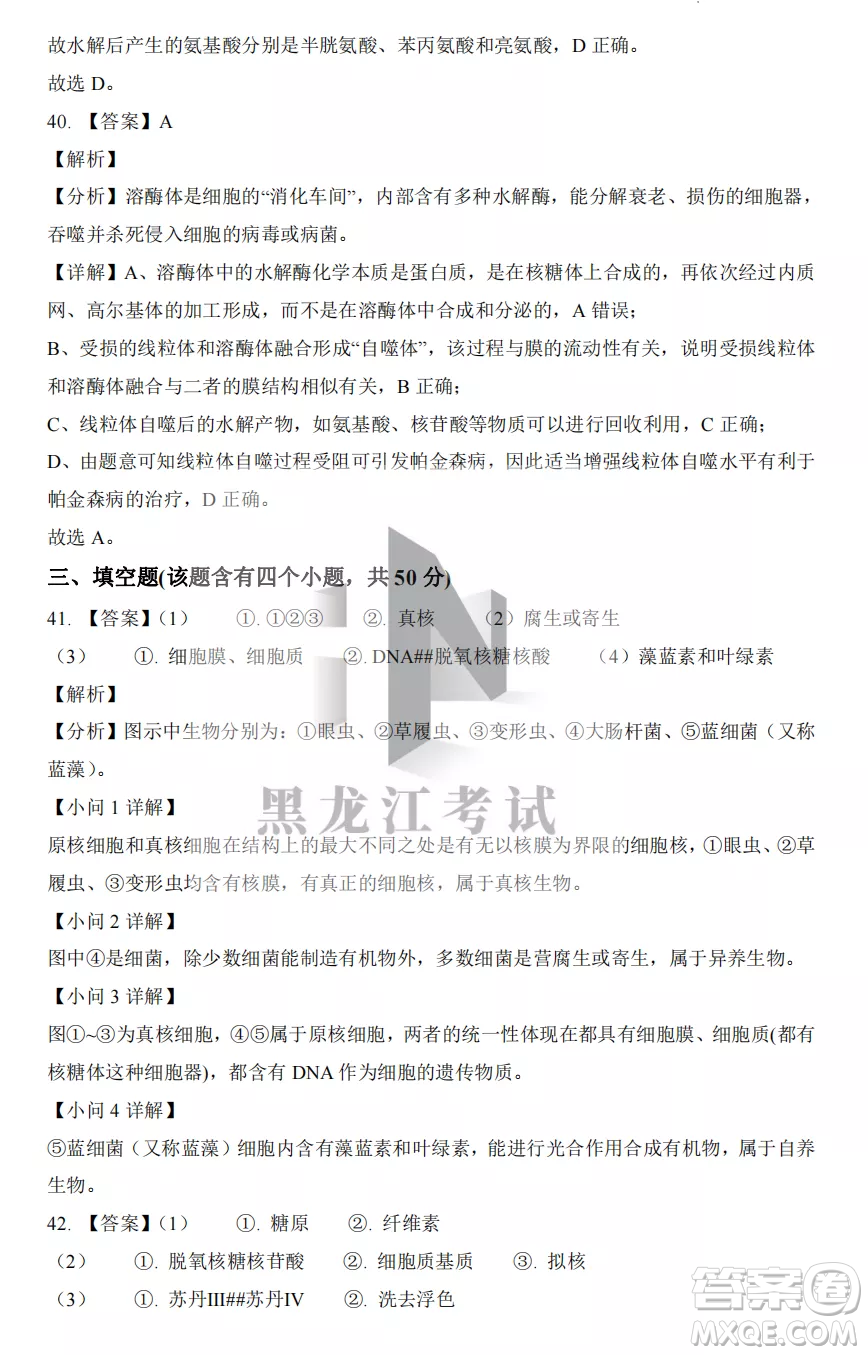 大慶實驗中學(xué)2022-2023學(xué)年度上學(xué)期月考高一生物試卷答案