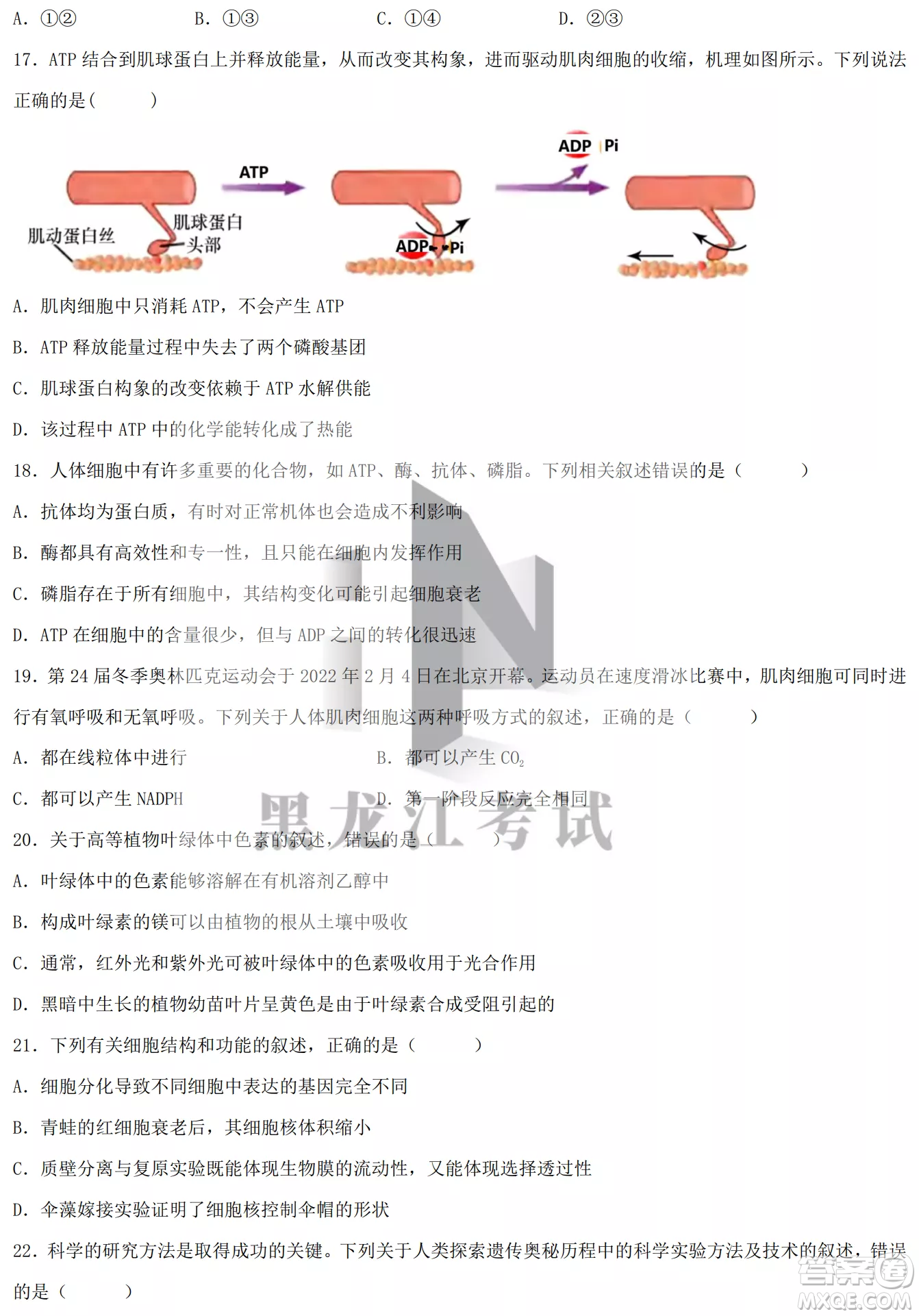 德強(qiáng)高中2022-2023學(xué)年度上學(xué)期10月月考高三學(xué)年生物試題及答案