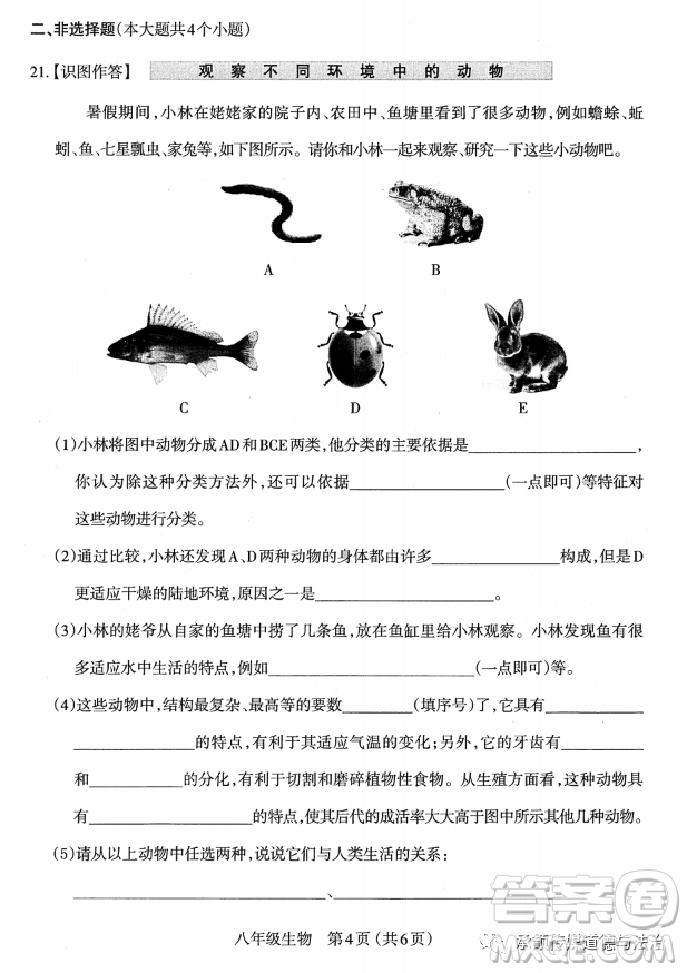 太原市2022-2023學(xué)年第一學(xué)期八年級(jí)期中質(zhì)量檢測(cè)生物學(xué)試卷答案