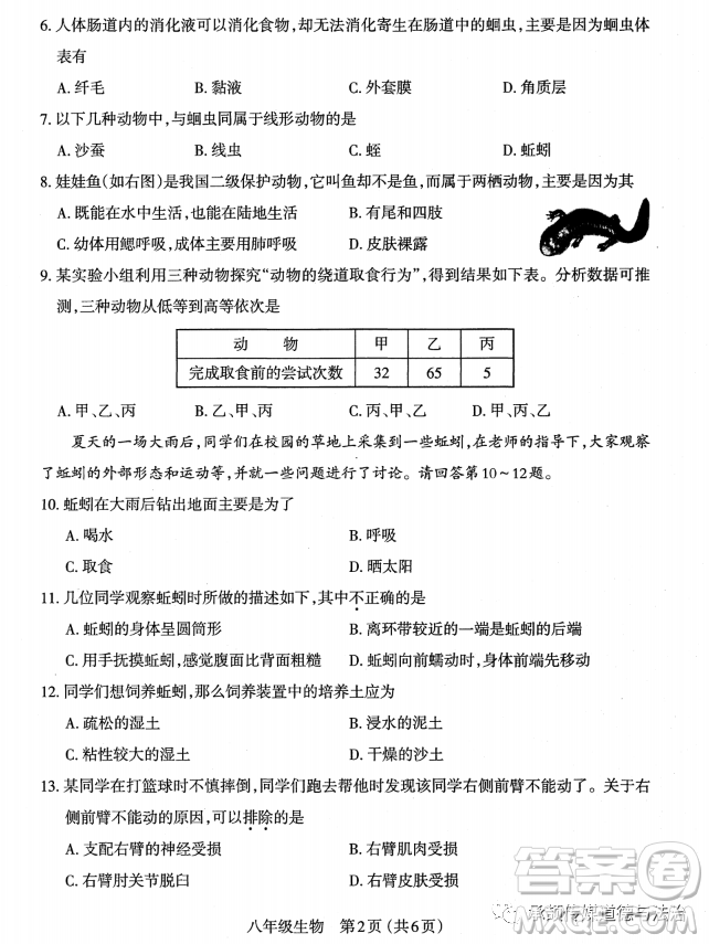 太原市2022-2023學(xué)年第一學(xué)期八年級(jí)期中質(zhì)量檢測(cè)生物學(xué)試卷答案