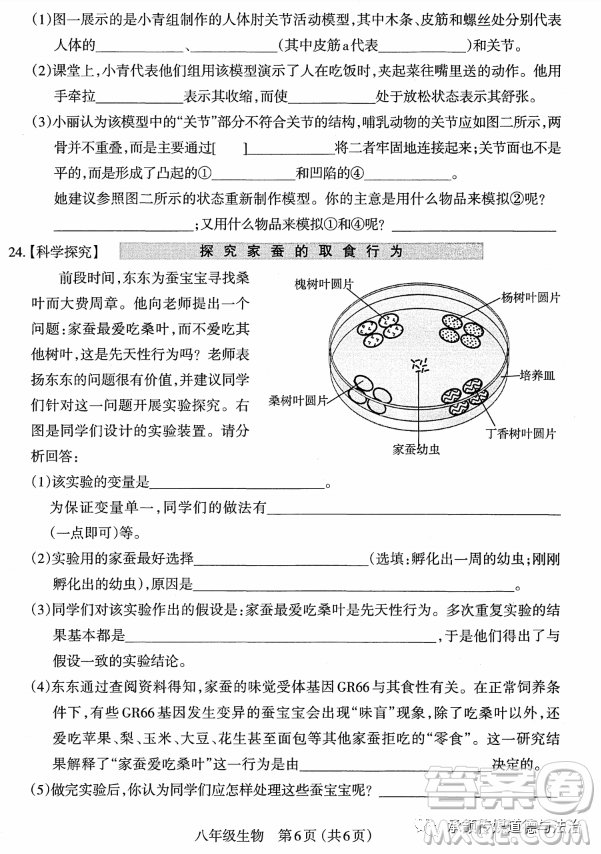 太原市2022-2023學(xué)年第一學(xué)期八年級(jí)期中質(zhì)量檢測(cè)生物學(xué)試卷答案