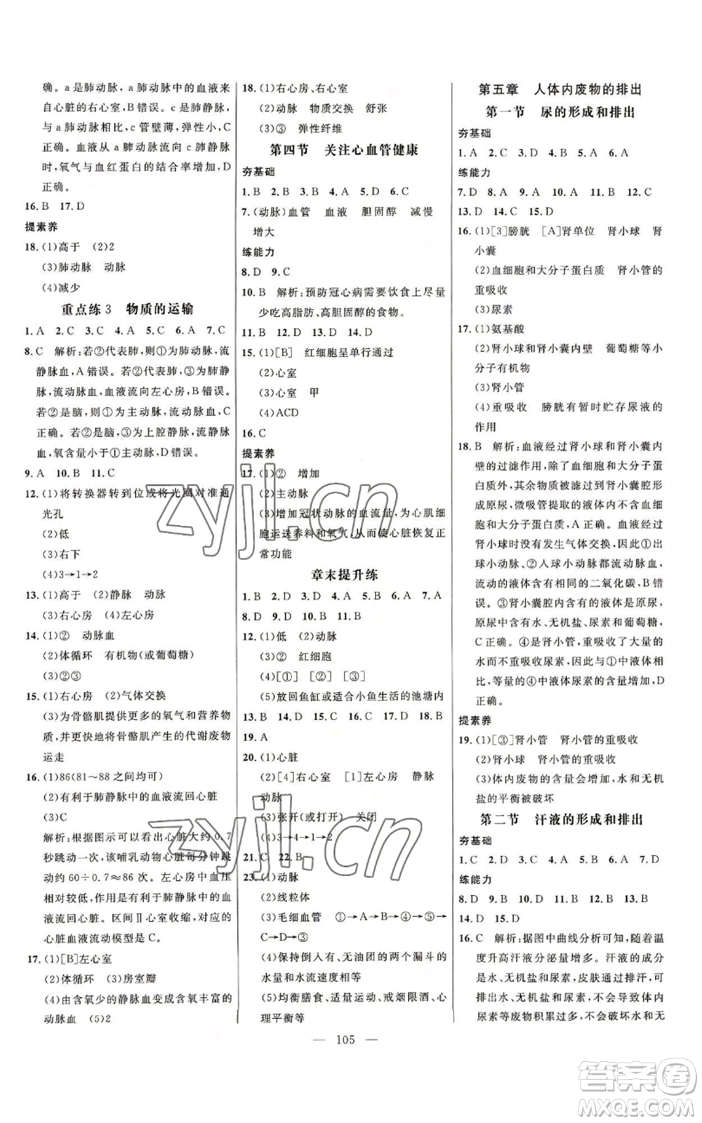 延邊大學(xué)出版社2022細解巧練七年級上冊生物魯科版參考答案