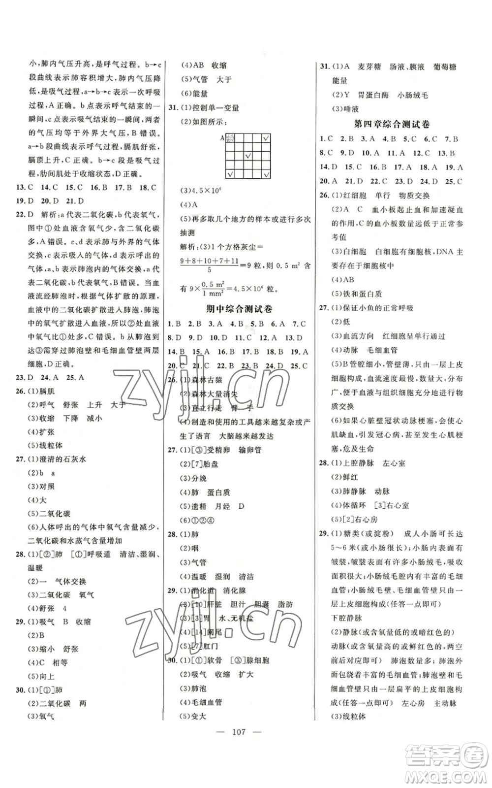 延邊大學(xué)出版社2022細解巧練七年級上冊生物魯科版參考答案