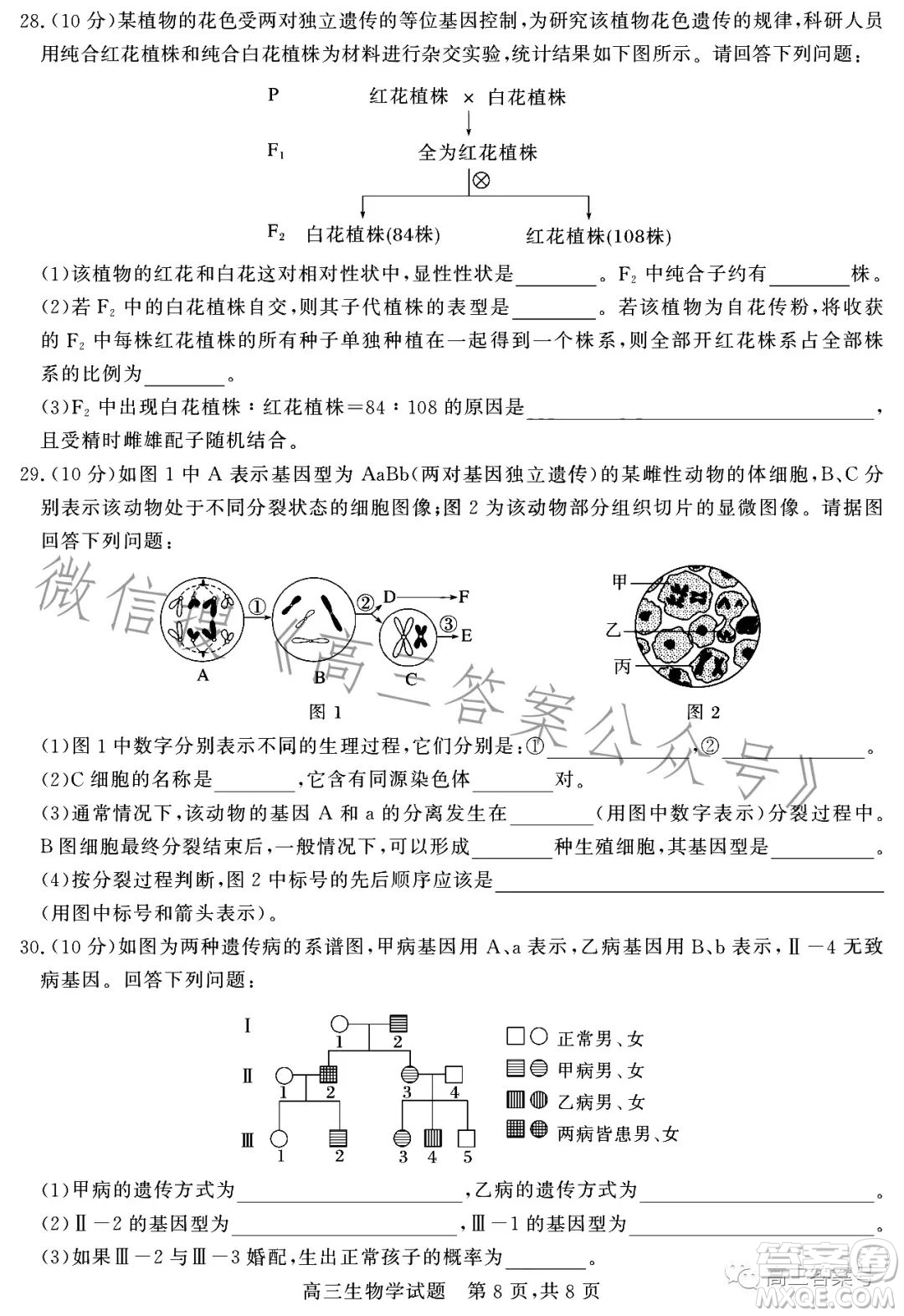 大同市2023屆高三第二次學(xué)情調(diào)研測(cè)試生物試卷答案