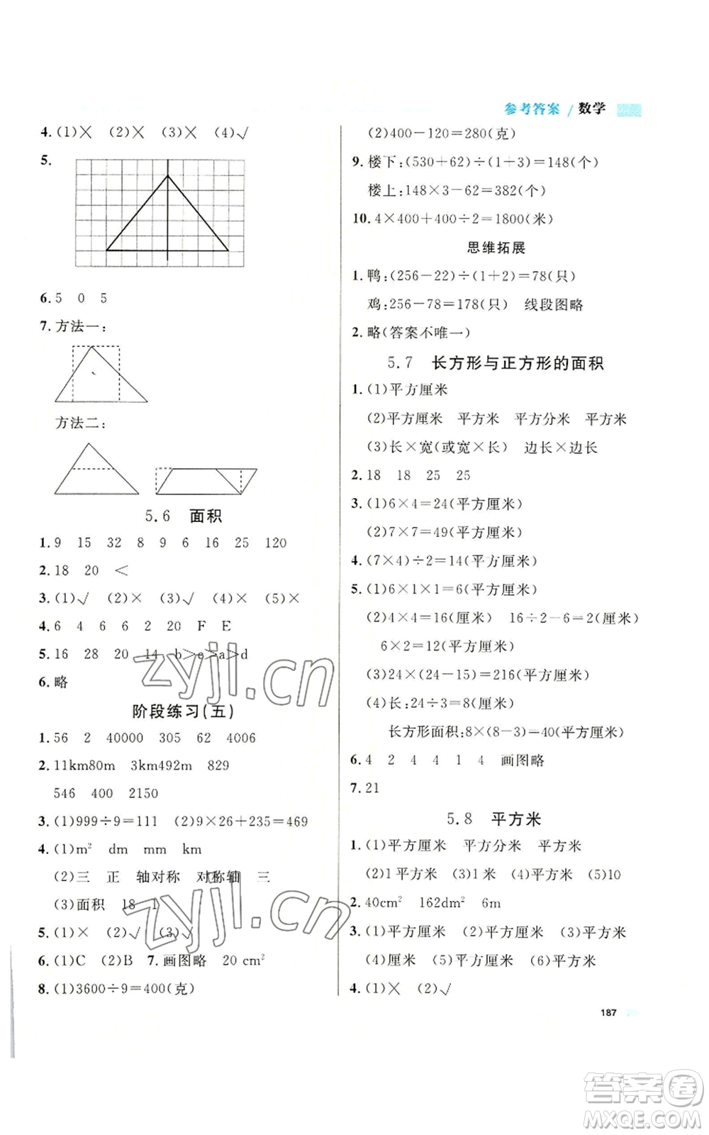 天津人民出版社2022上海作業(yè)三年級第一學(xué)期數(shù)學(xué)通用版參考答案