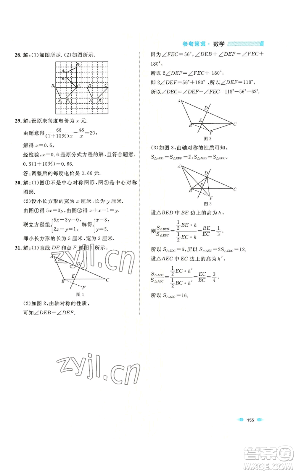 天津人民出版社2022上海作業(yè)七年級(jí)第一學(xué)期數(shù)學(xué)通用版參考答案