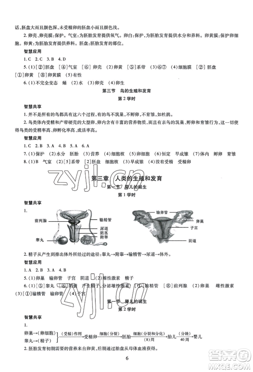 明天出版社2022智慧學(xué)習導(dǎo)學(xué)練八年級生物學(xué)人教版參考答案